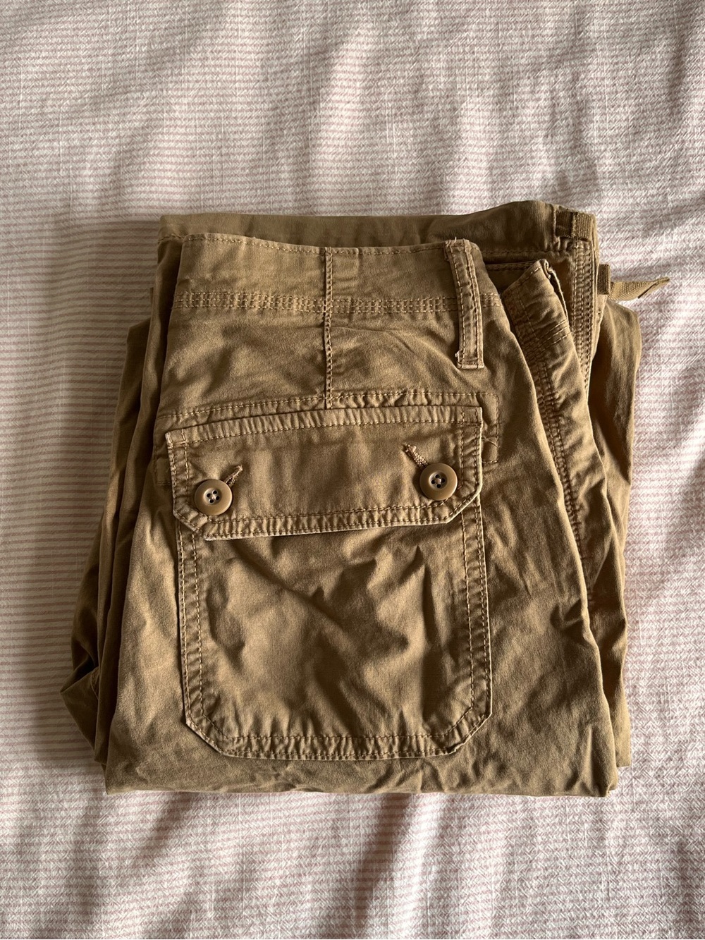 American Eagle Brown Cargo Pants